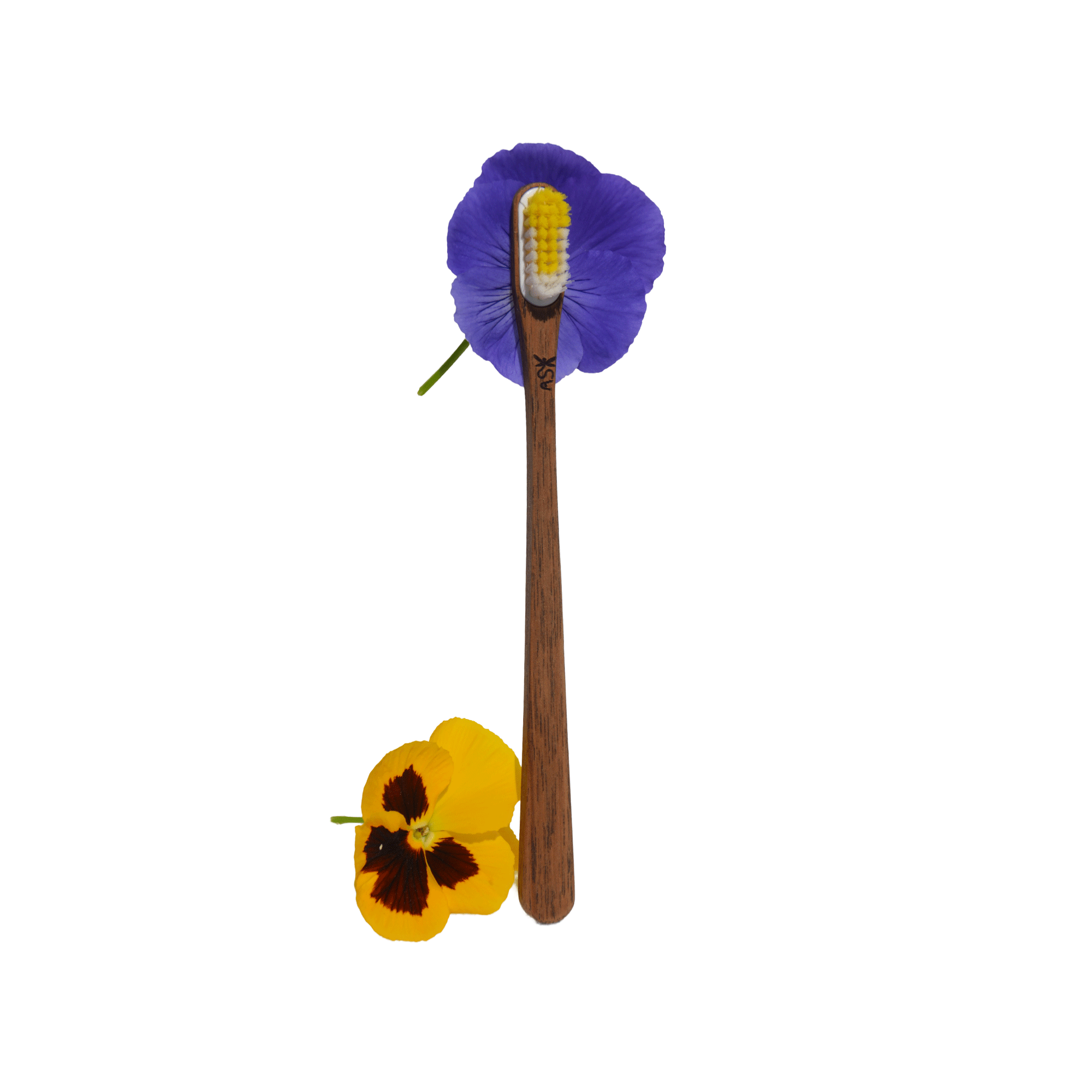 Brosse à dents en bois – Noyer