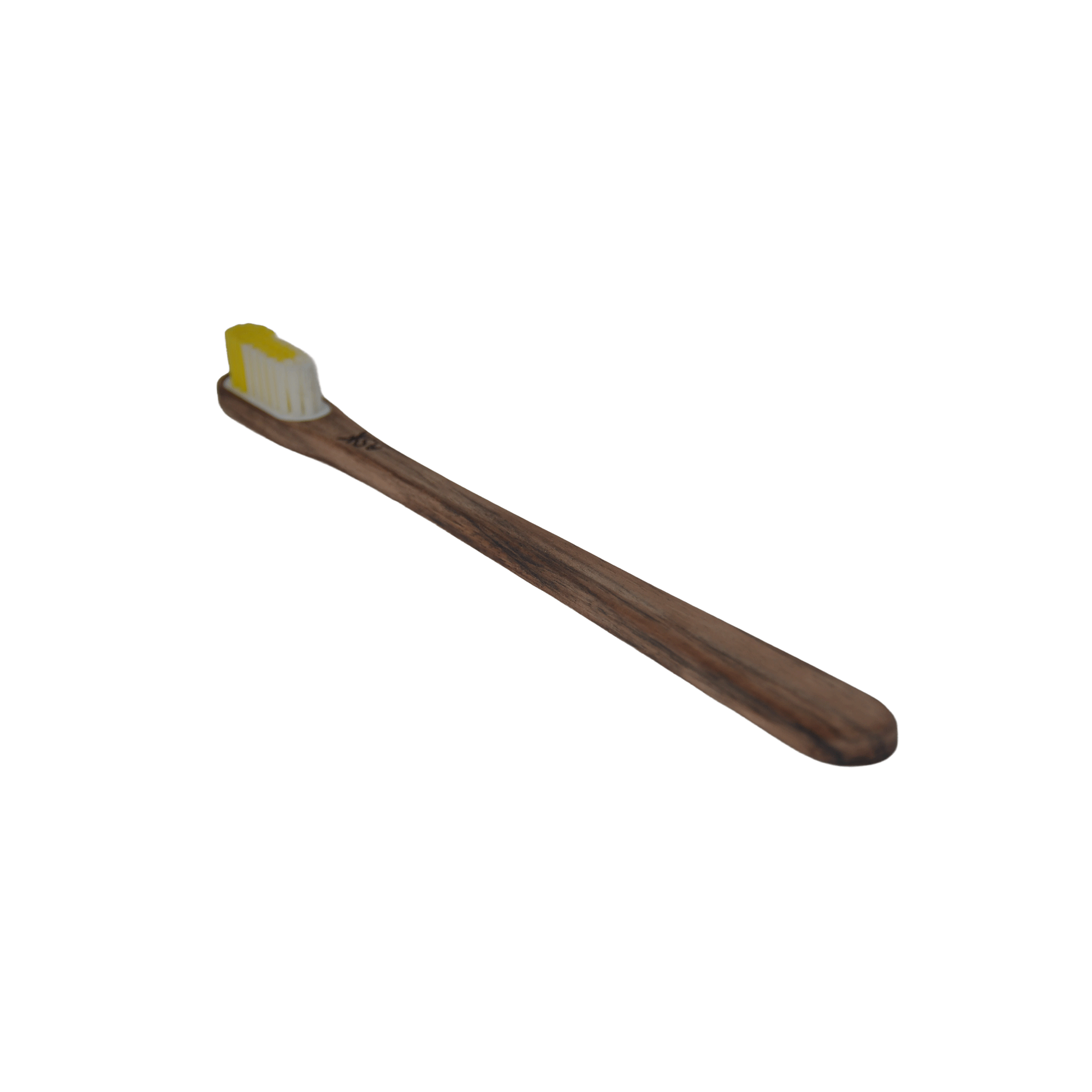 Brosse à dents en bois – Noyer – Image 4