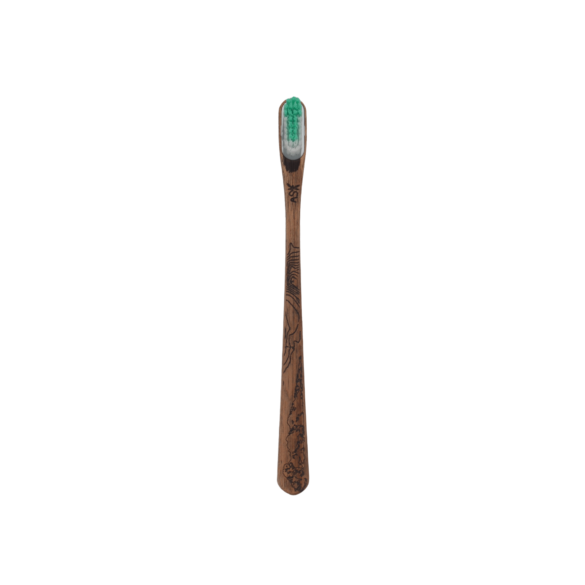 Brosse à dents en bois – Belledonne – Image 6