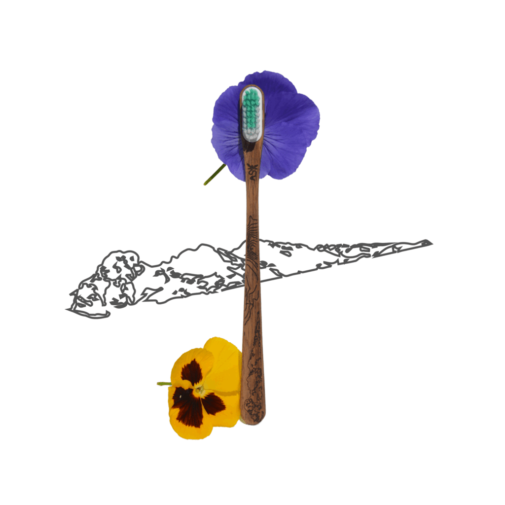 Brosse à dents en bois – Belledonne