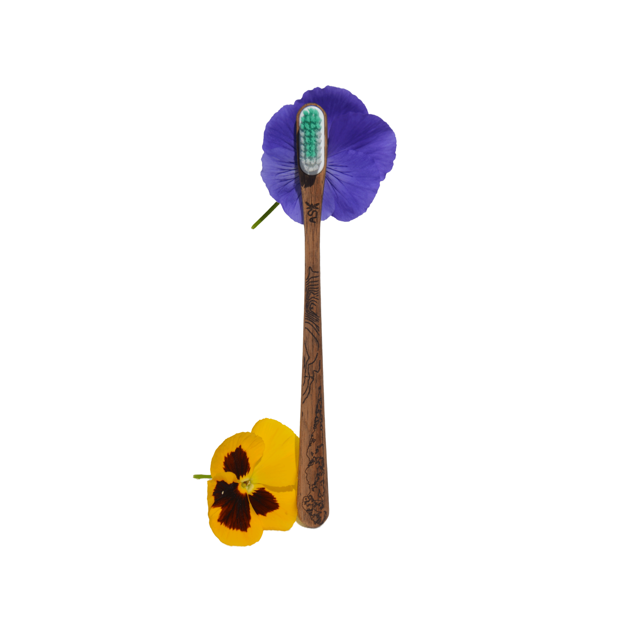 Brosse à dents en bois – Belledonne – Image 3