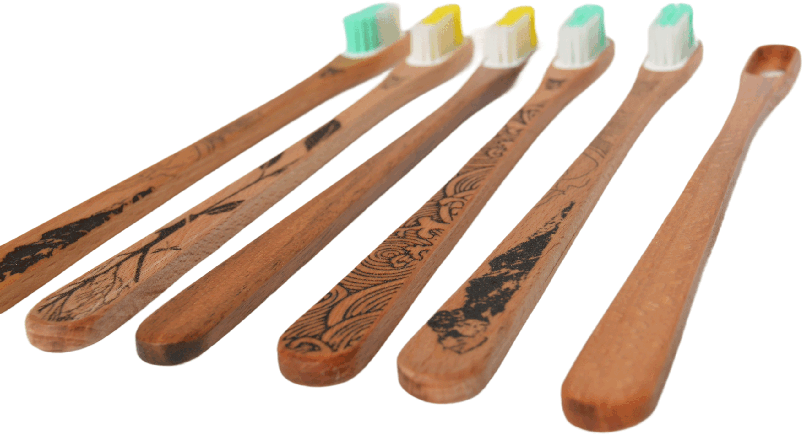 Manches de brosses à dents en noyer gravés, têtes rechargeables colorées